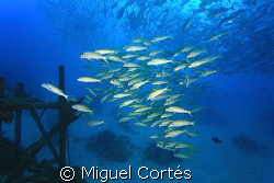 Schools in Hosuse Reef of Mabul. by Miguel Cortés 